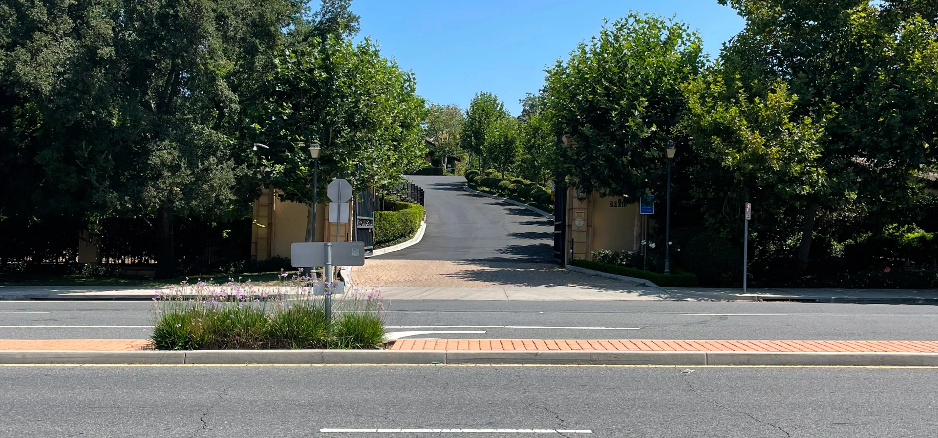 Driveway entrance surrounded by trees and greenery.